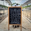 다인농장2 이미지