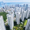 대연유치원 | 대연힐스테이트 푸르지오, 김대박부동산 오픈후 첫고객님, 오늘 잔금 치뤘어요