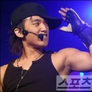 월드비나 이미지