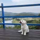 산청실내수영장 | 산청캠핑장 | 산청엔경호강캠핑장, 여름방학 아이들과 가기 좋은 곳, 애견동반