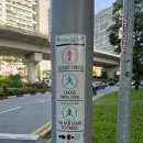 [싱가포르 일기 19~23일차] 청소기 구입 / 힐리온몰 / One Holland Village / 오차드 Paul / GOMO 가입...