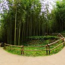 순창등산복 Daum카페