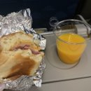 발리애견호텔 이미지