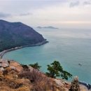 바닷가 숲속 이미지