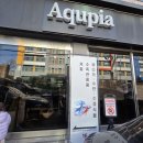 서메디 | 수원 메디피쉬 수족관 방문 후기 – 몽키바나나 구피를 데려오며 (내돈내산)