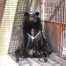 웅담농장 이미지