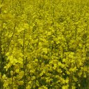 대명설비 이미지