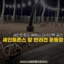 세인트존스동물병원 이미지
