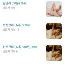 지유명차표선점