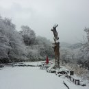 팬션 처음처럼 이미지