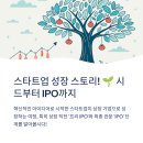 비상장 투자에서 IPO까지: &#39;프리 IPO&#39;와 &#39;IPO&#39; 단계