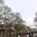 황새울공원 내 이미지