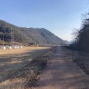 플로라 캠프 이미지