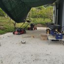 행정용 4 이미지