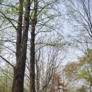 진덕사입구 이미지