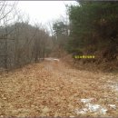 상장1리 이미지