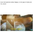 히키코모리 이미지