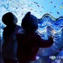 해운대물고기 이미지