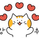 (주)마마쿡