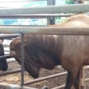 장생농장 이미지