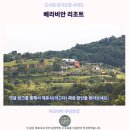 베라비안 리조트 후기 카오야이 추천 숙소, 인생샷 보장