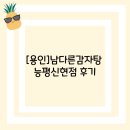 신현 | [용인]남다른감자탕 능평신현점 후기