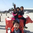 선하목장 이미지