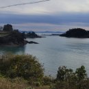 바다로일이오 이미지