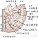 한국미용직업평생교육원 - 2082 | 한국미용직업평생교육원
