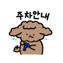 마리애견미용실 이미지