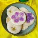 삼월 이미지