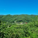 죽청농장 이미지