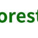 포레스테이 이미지