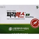 신풍제약 이미지