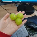 석전동343 | 창원 석전메트로시티 랜선집들이 가구배송 다녀왔어용 [임팔라소파]