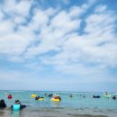 장사해수욕장(솔밭) 이미지