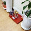 괴흐엉관베트남쌀국수