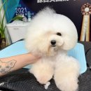 완벽한 비포 이미지