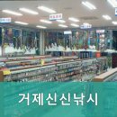 거제신신낚시