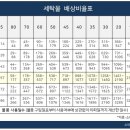 화이트크리닝 이미지