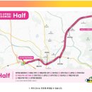 대황교차로 이미지