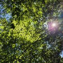 대동사 약수터 이미지