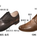 로이슨 이미지