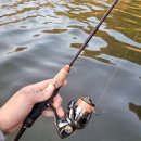 5112 | 쏘가리 미노우 로드 NS 레오파드 보론 S-5112 사용기 및 솔직 후기