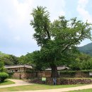 삼호남준 이미지