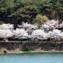 고남저수지 이미지