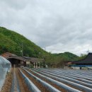 성흠농장 이미지