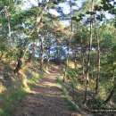 율리 휴양촌 이미지