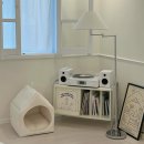 해피도그 이미지