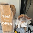 배진HAUS